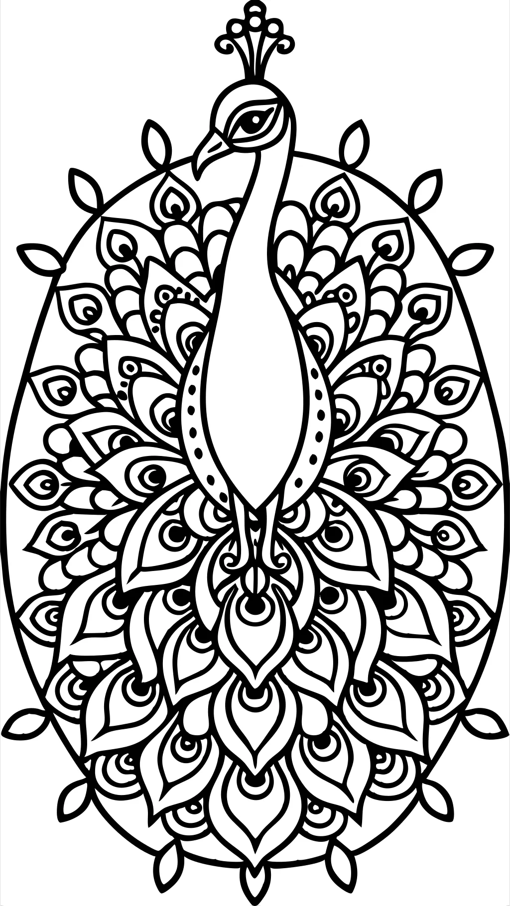 coloring pages for adults peacock